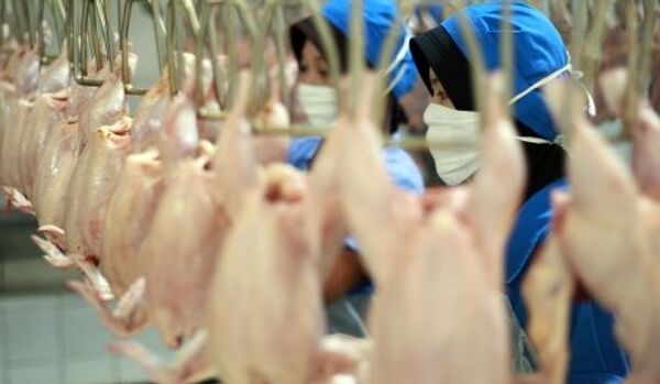 Japon: l'éclosion de grippe aviaire dans l'un des poulaillers industriels - Sputnik Afrique