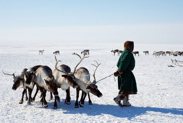 Plusieurs itinéraires seront proposés aux touristes, dont une excursion au-delà du Cercle polaire où habitent des populations autochtones. - Sputnik Afrique