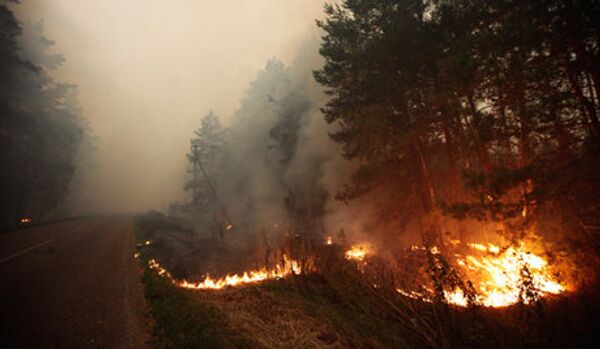 Russie: la surface des incendies triple par rapport à juin 2010 - Sputnik Afrique