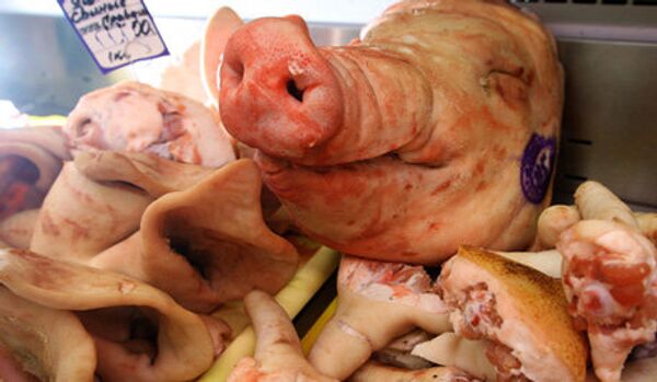« Les divergences substantielles » concernant le régime d’importation du porc n’ont pas encore pu être surmontées - Sputnik Afrique