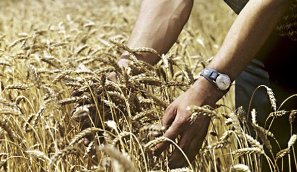 La Russie exporte 2,2 millions de tonnes de blé - Sputnik Afrique