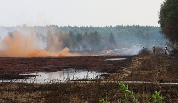 L’Allemagne et les Pays-Bas aideront à recréer des marais tourbeux en Russie - Sputnik Afrique