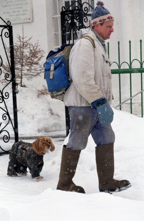 En photo: promeneur et son chien dans les rues enneigées de la ville. - Sputnik Afrique