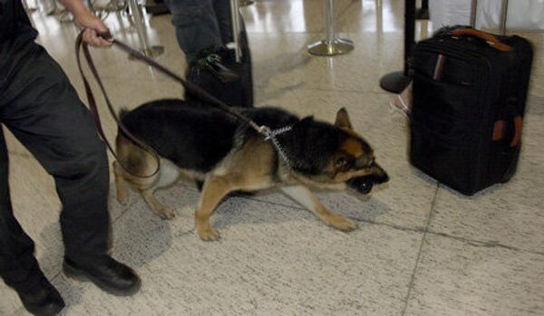 Un chien a mordu des policiers britanniques en service - Sputnik Afrique