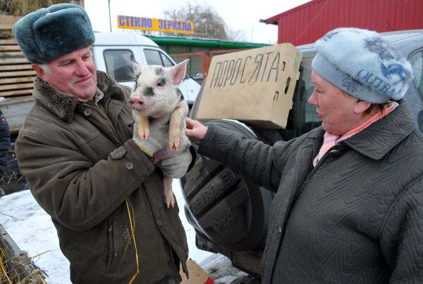 Un marchand montre un porcelet au marché de la ville russe de Tcheliabinsk. - Sputnik Afrique
