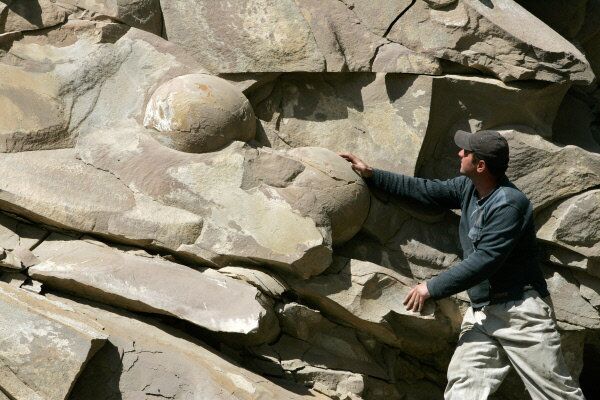 Près de 40 œufs fossilisés de dinosaures ont été découverts en Tchétchénie lors d’une expédition scientifique dans la région montagneuse du pays. La coupe des œufs permet de voir clairement la coquille, le blanc et le jaune. Ils datent de 60 millions d’années. - Sputnik Afrique