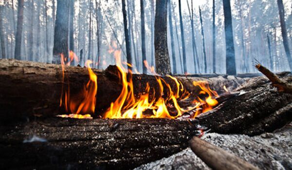 Russie/incendies de forêt : plus de 204 hectares ravagés - Sputnik Afrique