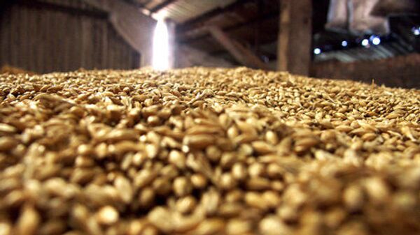 Russie : la récolte des céréales va représenter 94,2 millions de tonnes selon les prévisions - Sputnik Afrique