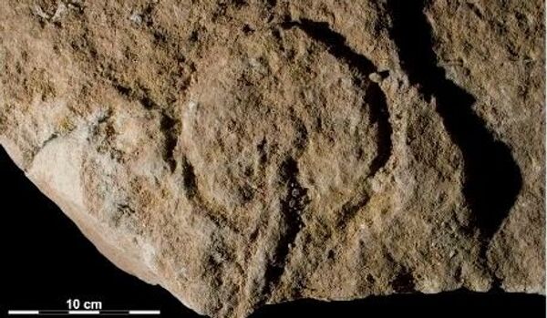 Un dessin érotique datant d’il y a 37 000 ans trouvé par les archéologues - Sputnik Afrique