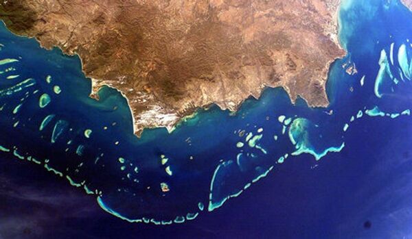 Scandale écologique en Australie : la grande barrière de corail menacée - Sputnik Afrique