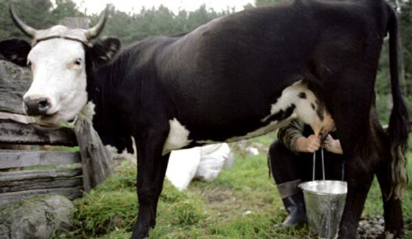 Le lait prolonge la vie et prévient l’obésité - Sputnik Afrique