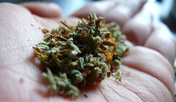 L'Albanie n'a pas laissé passer une tonne de marijuana en Italie - Sputnik Afrique