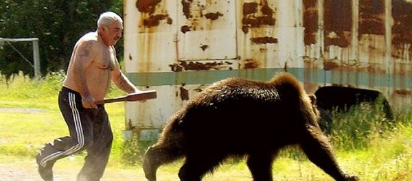 Meanwhile in Russia. VTda.info - Sputnik Afrique