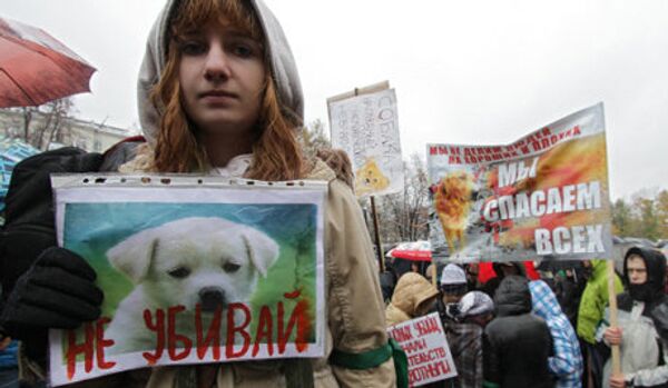 Le président recevra une plainte contre les dog-hunters - Sputnik Afrique