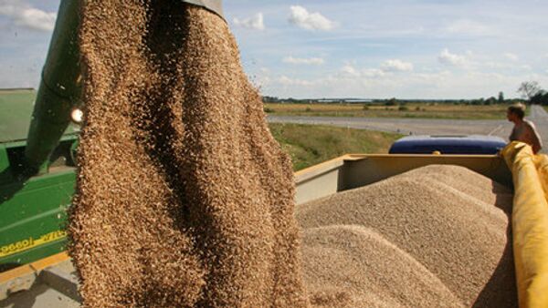 Les prix du blé en Europe atteignent des sommets depuis 6 mois - Sputnik Afrique