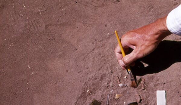 Le habitat de l'homme préhistorique découvert en Écosse - Sputnik Afrique