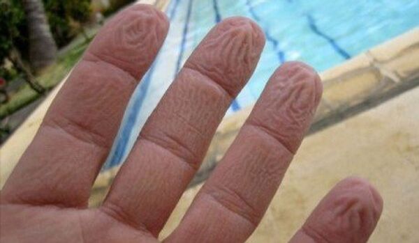 Les chercheurs ont appris pourquoi la peau des doigts se plisse dans l'eau - Sputnik Afrique