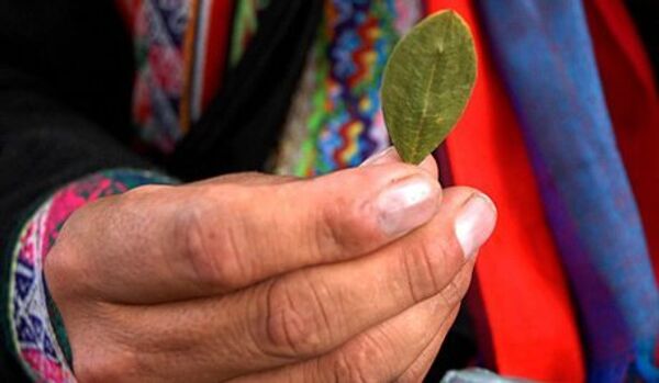 Le Kremlin veut interdire aux Boliviens de mâcher des feuilles de coca - Sputnik Afrique