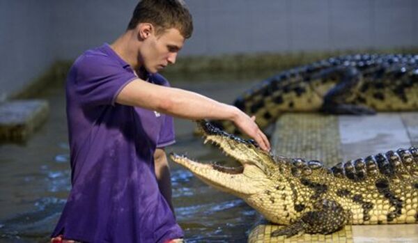 Les crocodiles du Nil à Ekaterinbourg - Sputnik Afrique