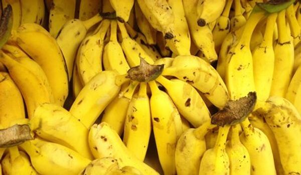 Belgique : 66 kg de cocaïne découverts parmi des bananes - Sputnik Afrique