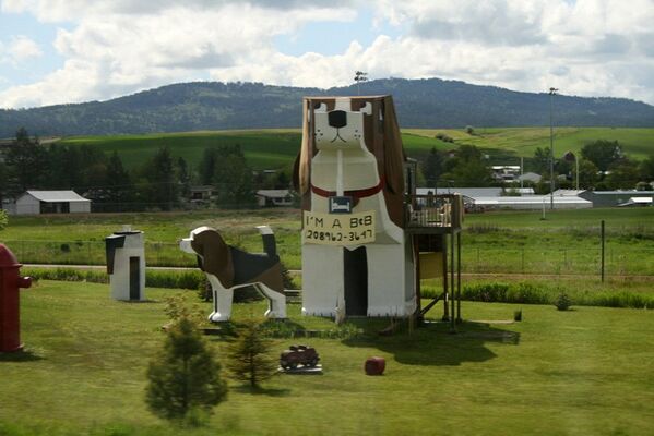 Le Dog Bark Park Inn a été construit en 1997. Son bâtiment a la forme d’un chien. (Idaho, Etats-Unis) - Sputnik Afrique