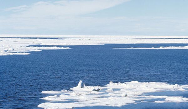 Arctique : l’énigme des morses de la mer des Laptev - Sputnik Afrique