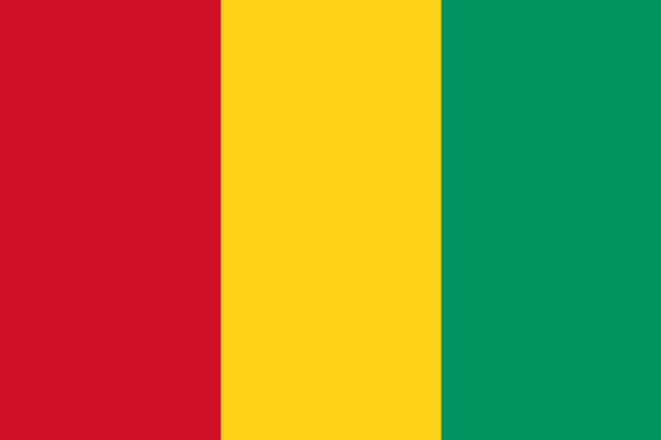 Les élections en Guinée reportées une fois de plus à la demande de l'opposition - Sputnik Afrique