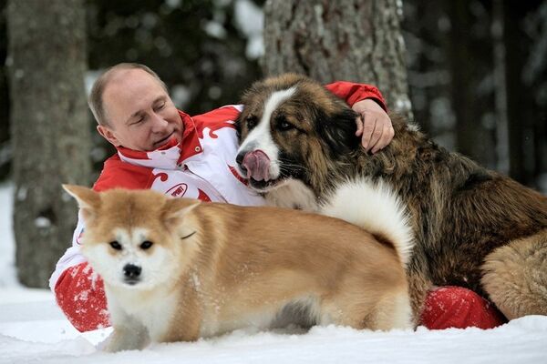 24 mars 2013. Vladimir Poutine en promenade avec ses chiens Buffy et Yume dans la région de Moscou. - Sputnik Afrique