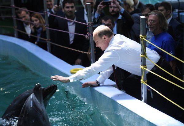 1er septembre 2013. Vladimir Poutine lors d’une visite de l’océanarium en construction sur l’île Russkiy. - Sputnik Afrique