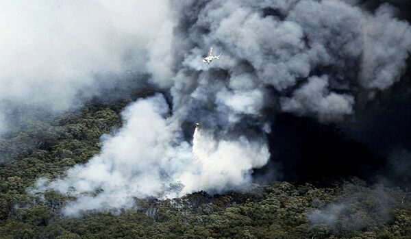 Un avion pompier s'écrase en Australie - Sputnik Afrique