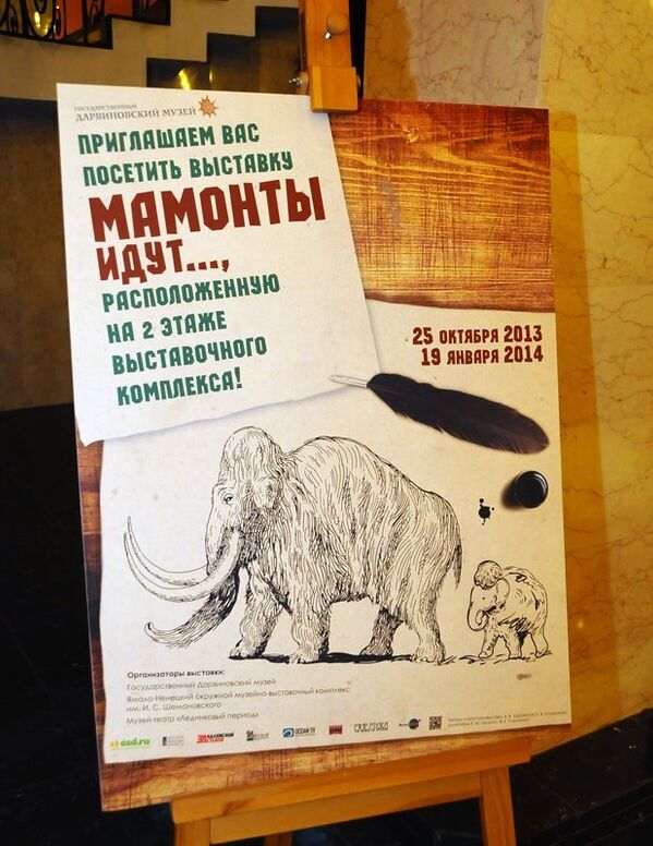 L'exposition Les mammouths arrivent restera ouverte au musée Darwin de Moscou jusqu’au 19 janvier 2014. - Sputnik Afrique