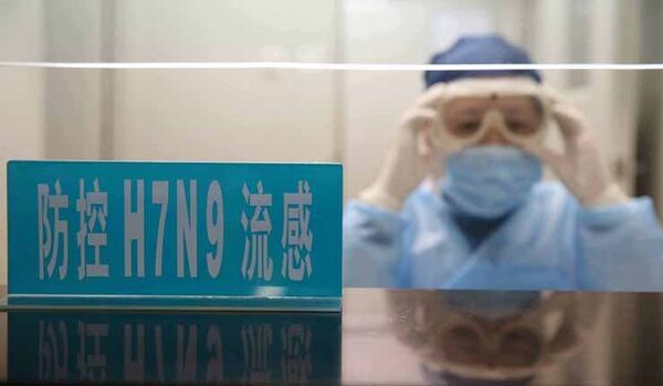 Les médecins chinois ont créé un vaccin contre la grippe aviaire - Sputnik Afrique