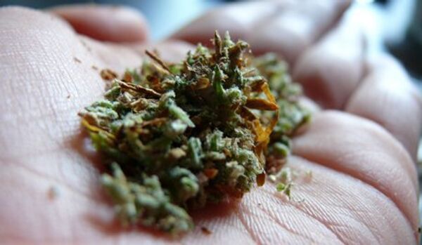 La police autrichienne a saisi 500 kg de marijuana chez deux Italiens - Sputnik Afrique