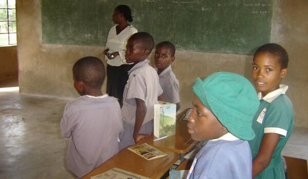 Au Zimbabwe des écoles ont été attaquées par des gobelins - Sputnik Afrique