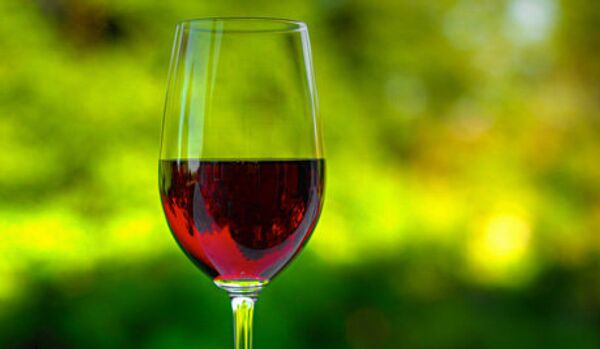 « Le vin est ce qu'il y a de plus civilisé au monde » (François Rabelais) - Sputnik Afrique