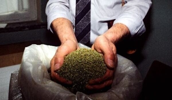 Près de 800 kg de cannabis saisis à Paris - Sputnik Afrique