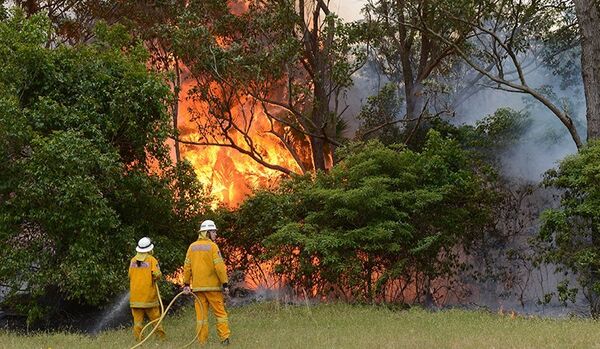 La situation avec des incendies de forêt dans le sud de l'Australie s'aggrave - Sputnik Afrique