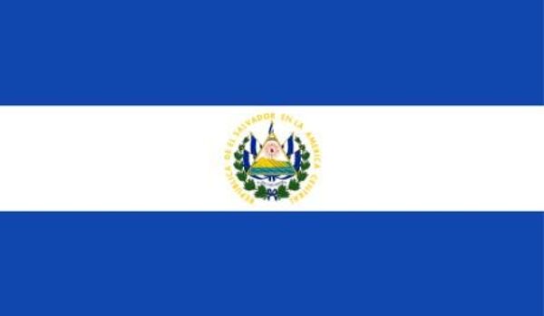 Salvador : le deuxième tour des élections présidentielles a commencé - Sputnik Afrique