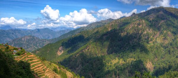 Forêt aux Philippines - Sputnik Afrique