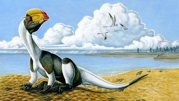 Dilophosaurus - Sputnik Afrique