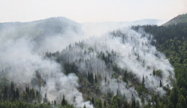 Russie : la superficie des incendies de forêt en hausse en Extrême-Orient - Sputnik Afrique