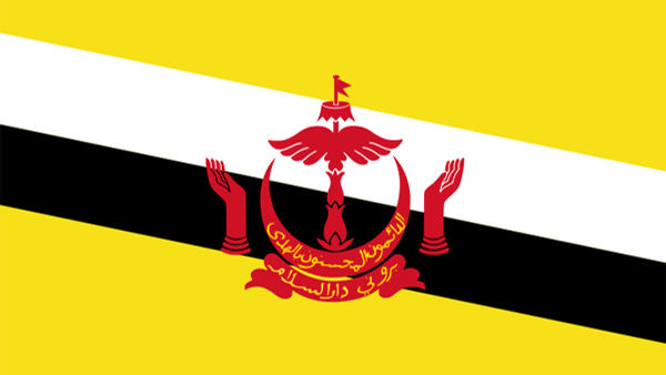 Brunei : un nouveau code pénal basé sur la charia entre en vigueur - Sputnik Afrique