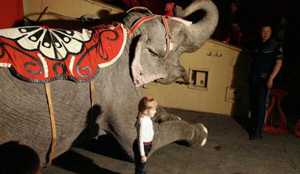 Protestation à Mexico contre l'interdiction des animaux au cirque - Sputnik Afrique