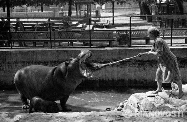 « Zoo de Moscou », 1944. - Sputnik Afrique