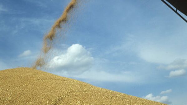 La Crimée commence à exporter son blé - Sputnik Afrique