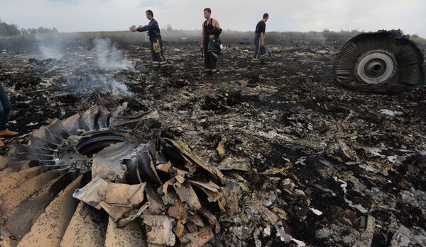 Poutine et Rutte croient que l'OACI devrait enquêter sur le crash du Boeing - Sputnik Afrique