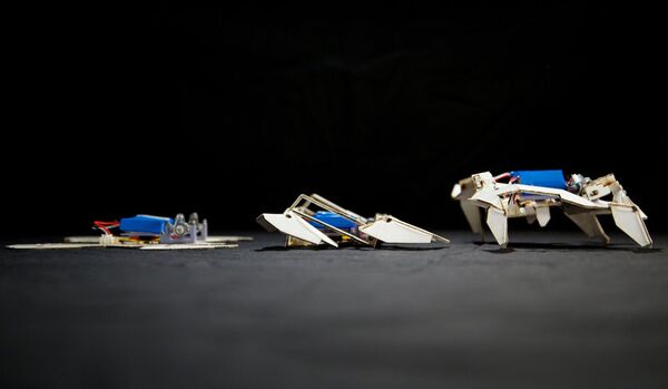 Des scientifiques américains ont créé un robot-origami - Sputnik Afrique