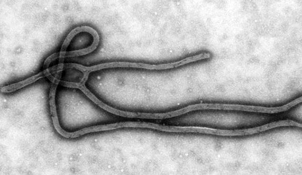 Ebola : un homme hospitalisé en Allemagne - Sputnik Afrique