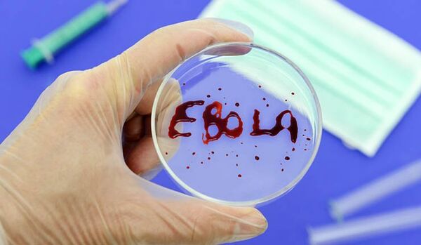 17 patients contaminés par le virus Ebola échappés de l'hôpital - Sputnik Afrique