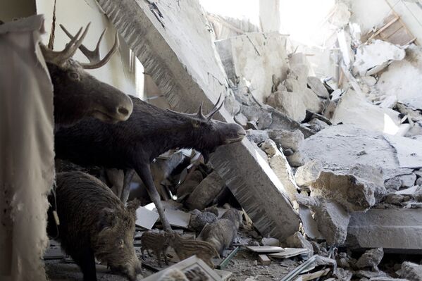 Le Musée régional détruit à Donetsk - Sputnik Afrique